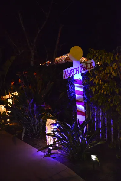 DSC_5800 (Large).JPG